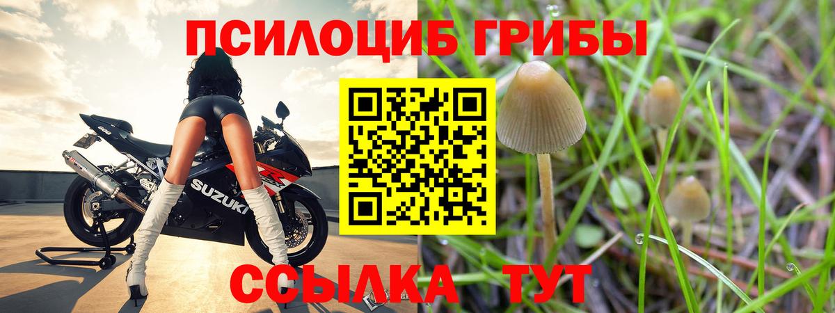 Галлюциногенные грибы Magic Shrooms  Псилоцибиновые грибы MAGIC MUSHROOMS  Каменск-Шахтинский  продажа наркотиков  Вход с VPN 